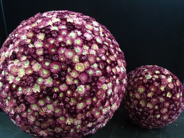 Boules de fleurs violettes sèches