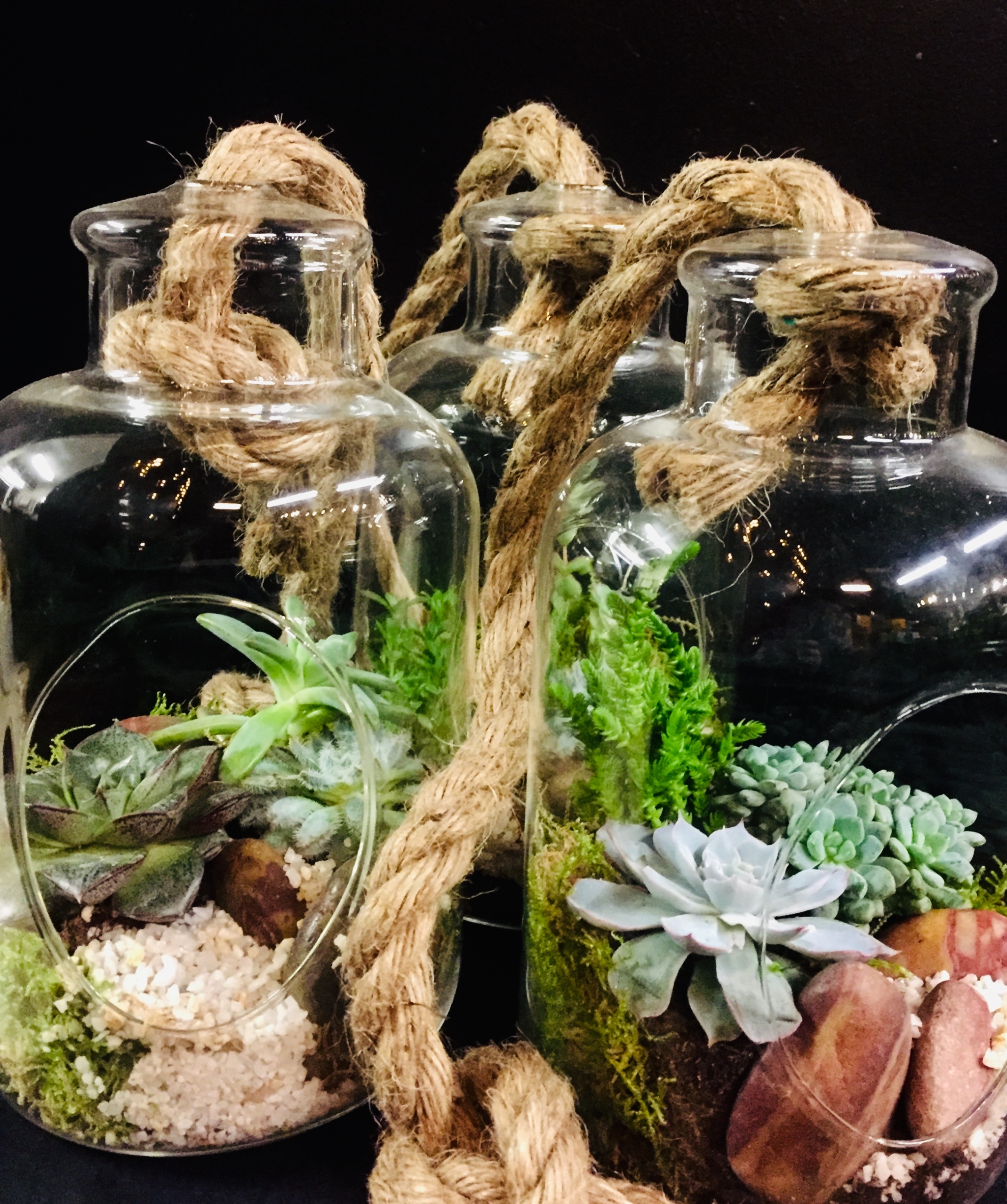 Grand terrariums