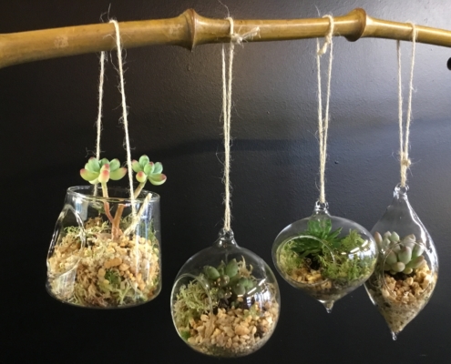 Terrariums supsendus