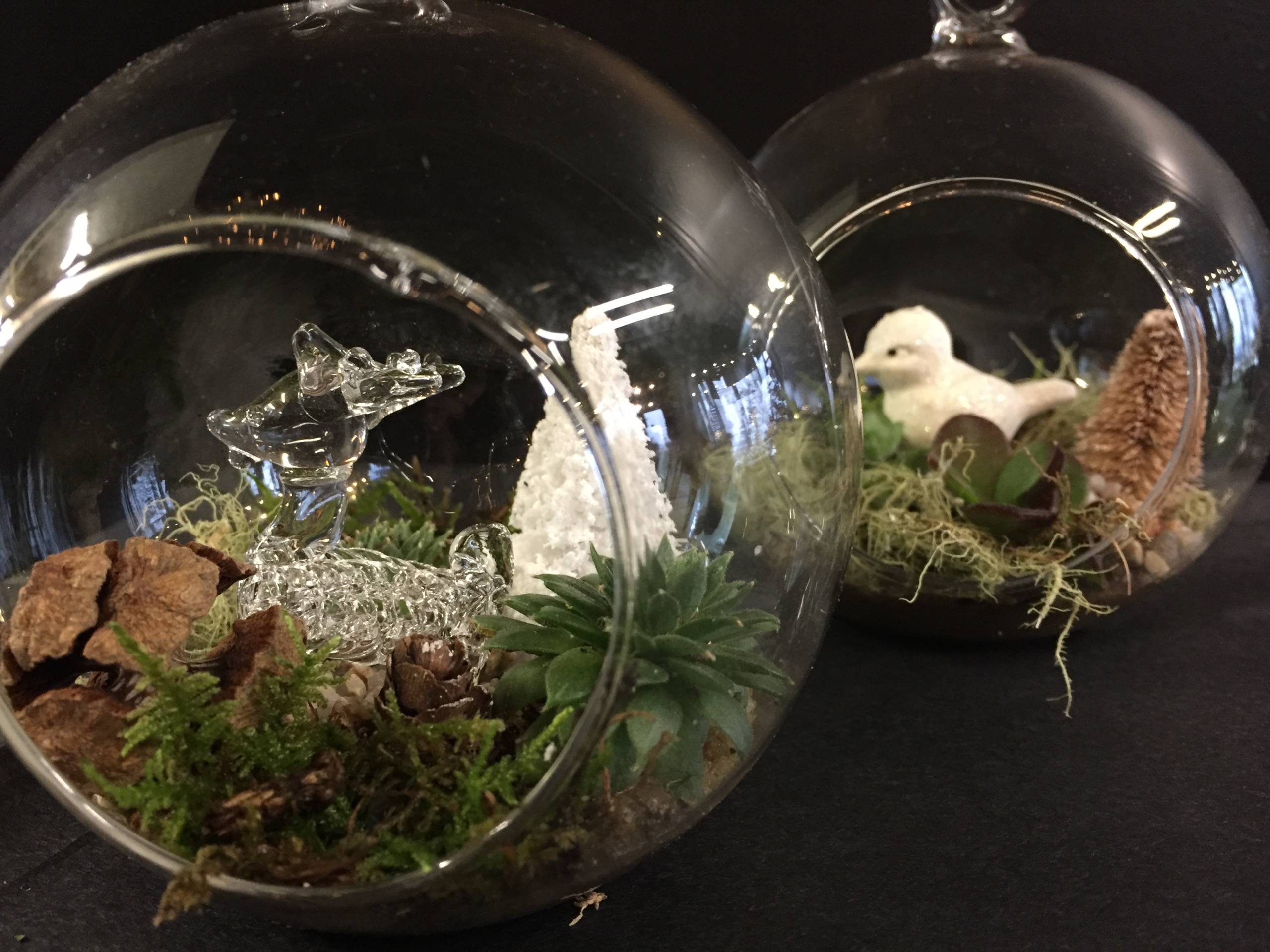 Mini-monde accueillant des petits oiseaux décoratifs