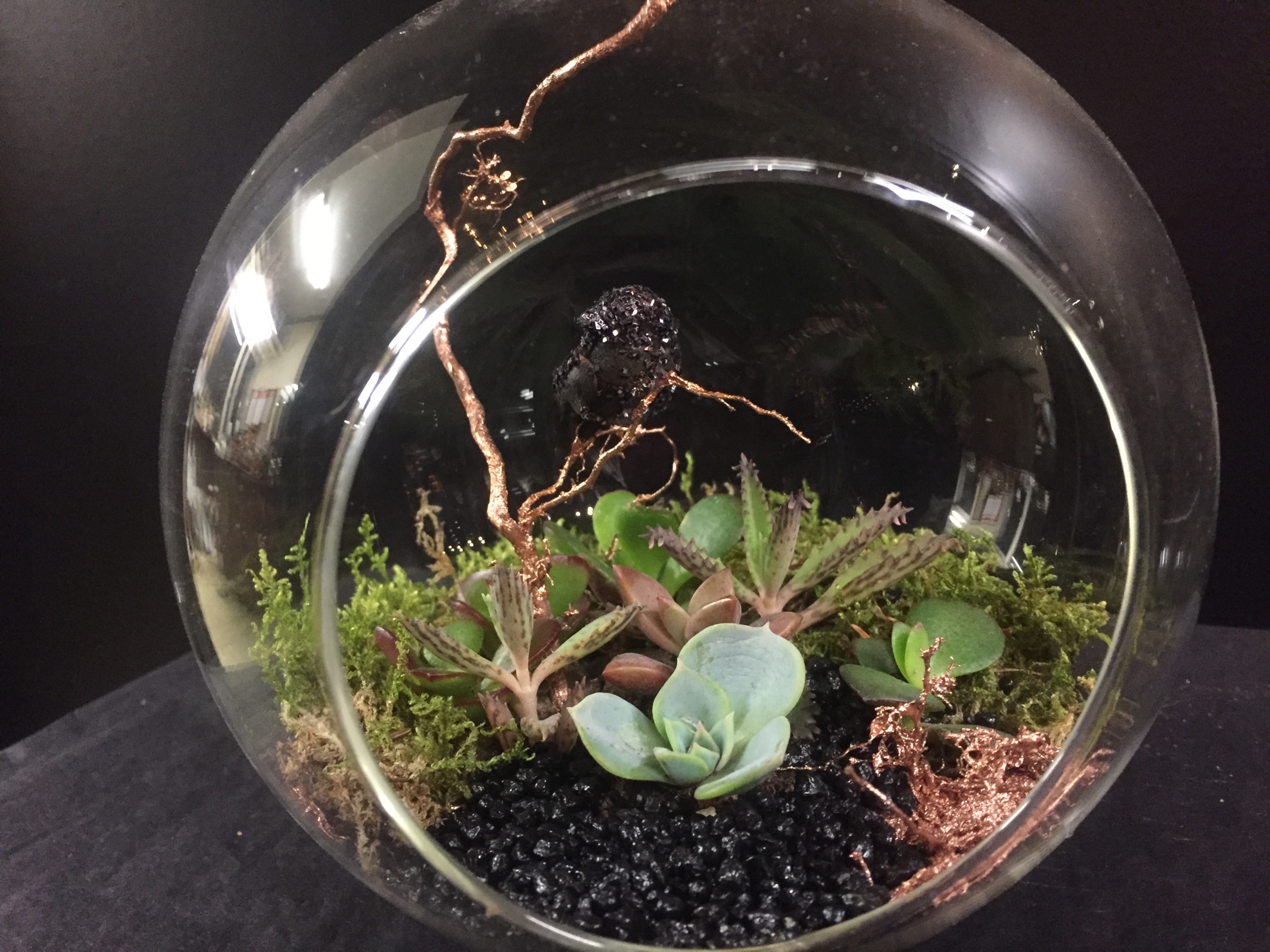 Terrarium à l'oiseau