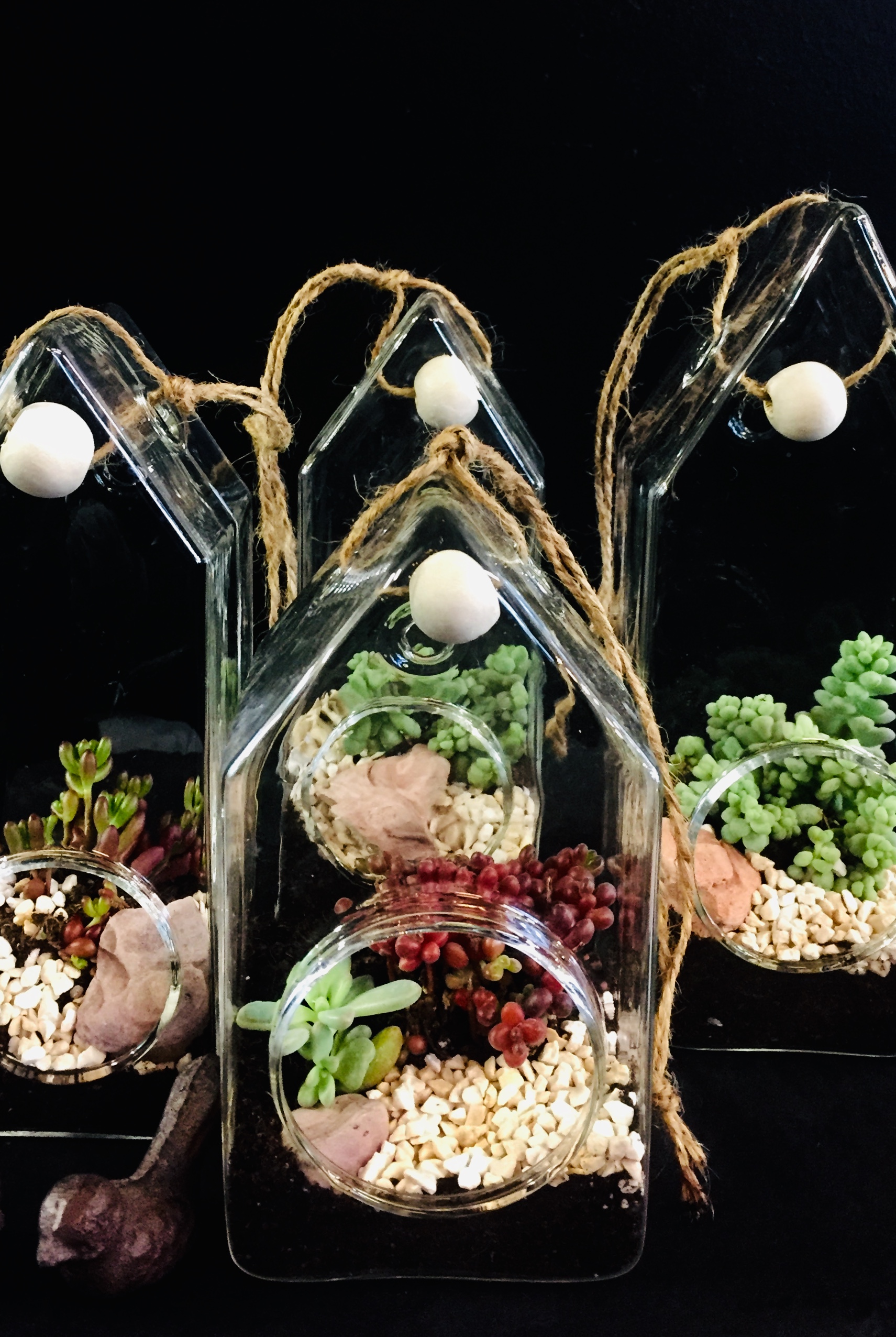 Terrariums en forme de nid d'oiseau